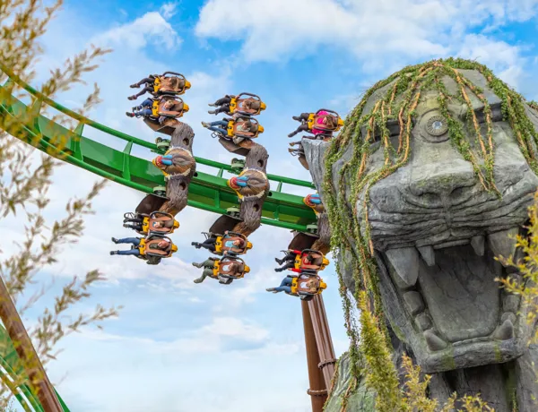 Mandrill Mayhem At Chessington World Of Adventures